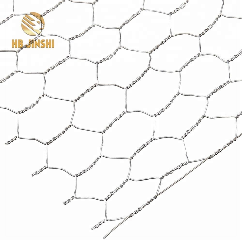 China New Product Wire Wall Grid - Galvanized Hexagonal Chicken Wire Mesh 2 Foot X 100 Foot – JINSHI