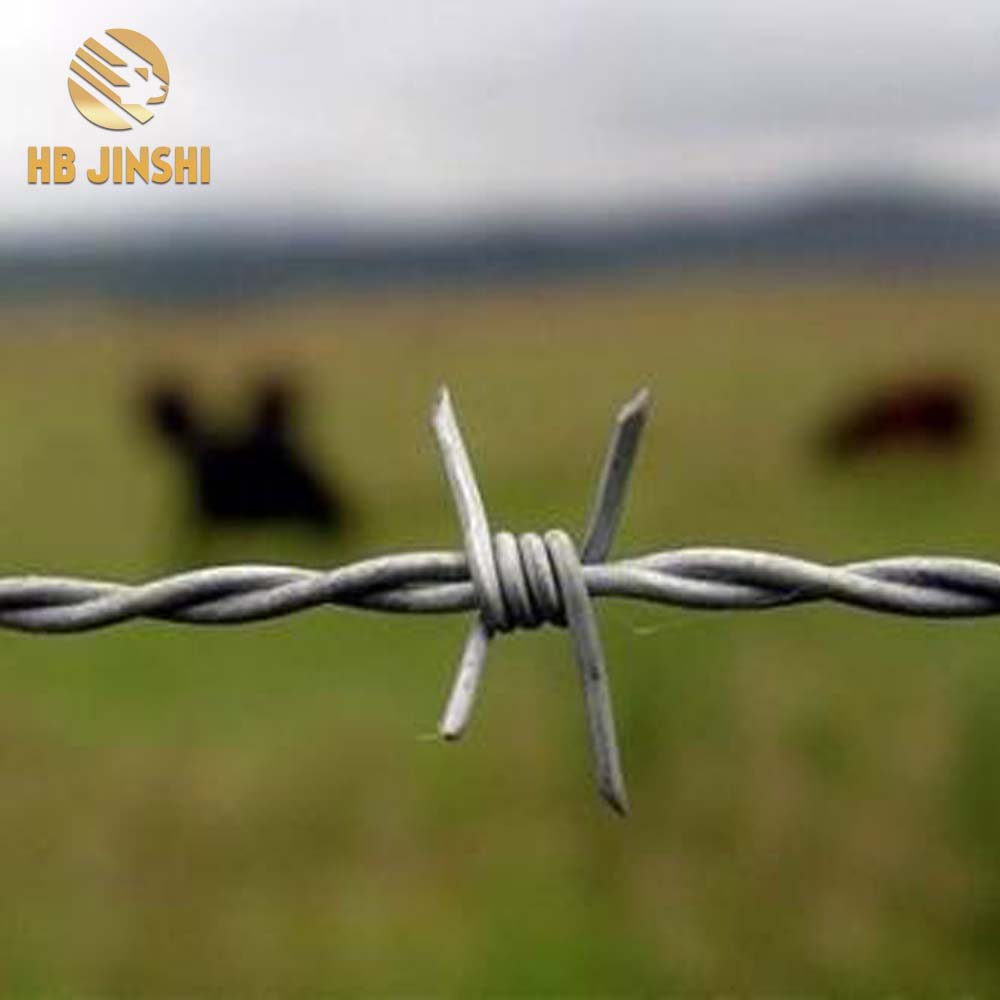 Galvanized barbed wire double wire barb wire