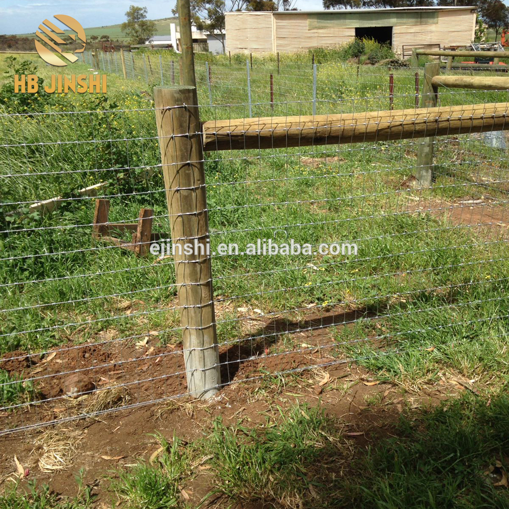 Reasonable price for Razor Wire Fence – Hinge joint fencing wire field fence, farm fencing cattle fence for sale – JINSHI