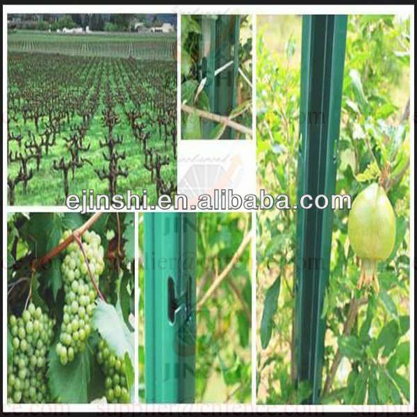 Hot New Products Farm Fence Posts - Poles for vineyard and orchard plantations – JINSHI