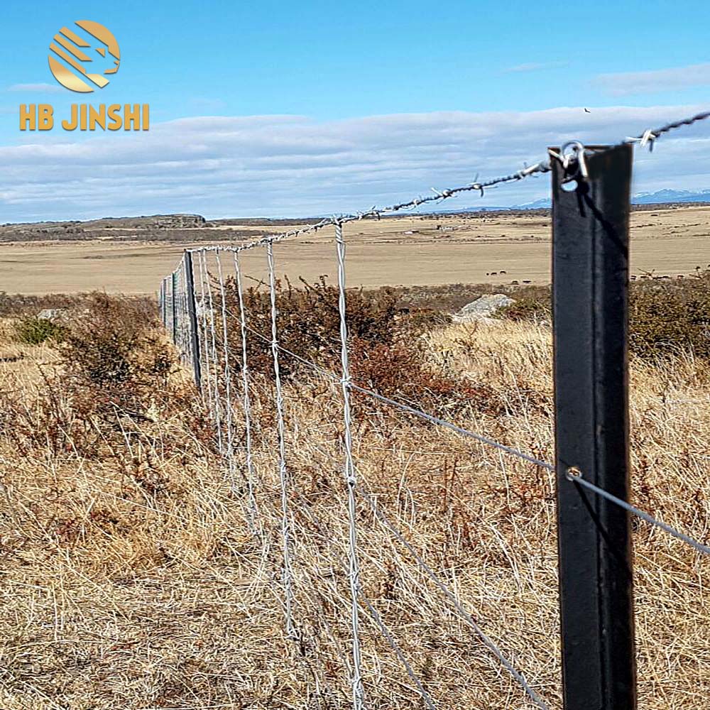 High definition Fence Post Prices - Australia New Zeland market 2.04kg/m Black Bitumen 2400 mm Y post Fencing Post/Y Star Picket – JINSHI