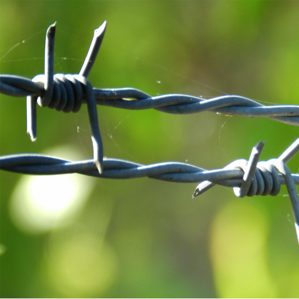 Low Price Galvanized High Tensile steel Barbed Wire