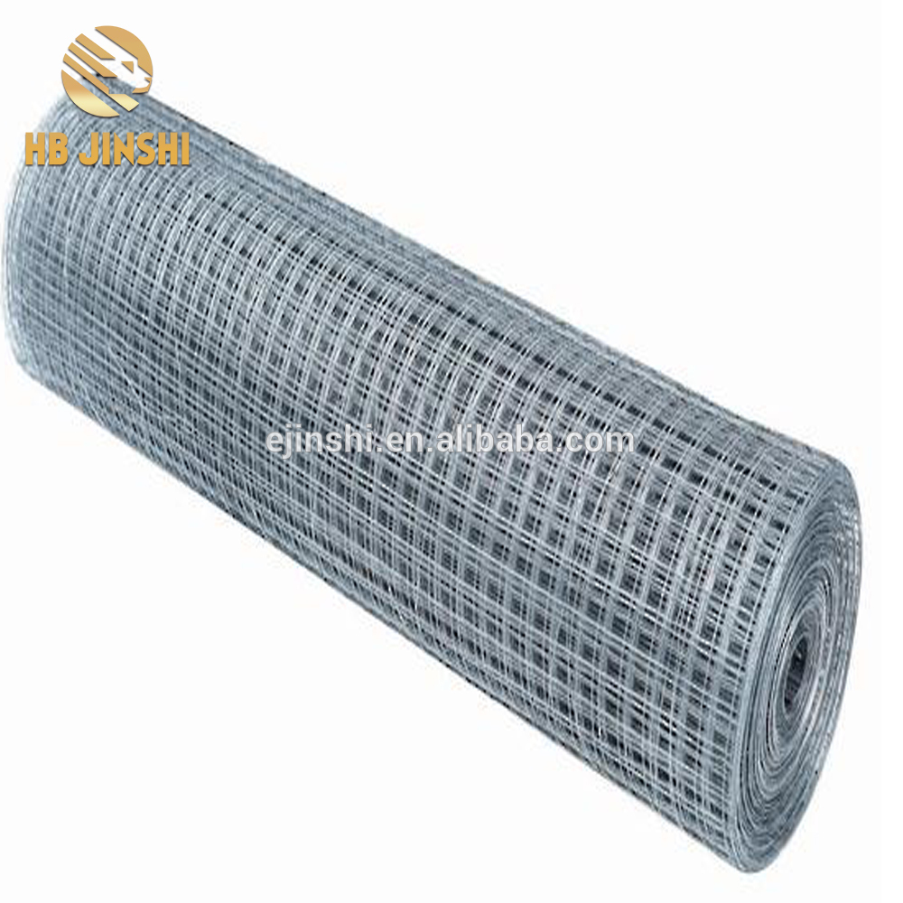 China professional galvanized welded wire mesh fence wire mesh rolls