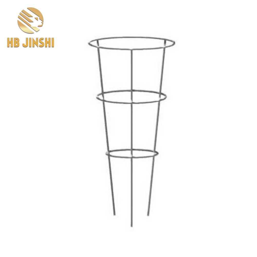 Galvanized Metal Cone Cage for Flower and Plant Support
