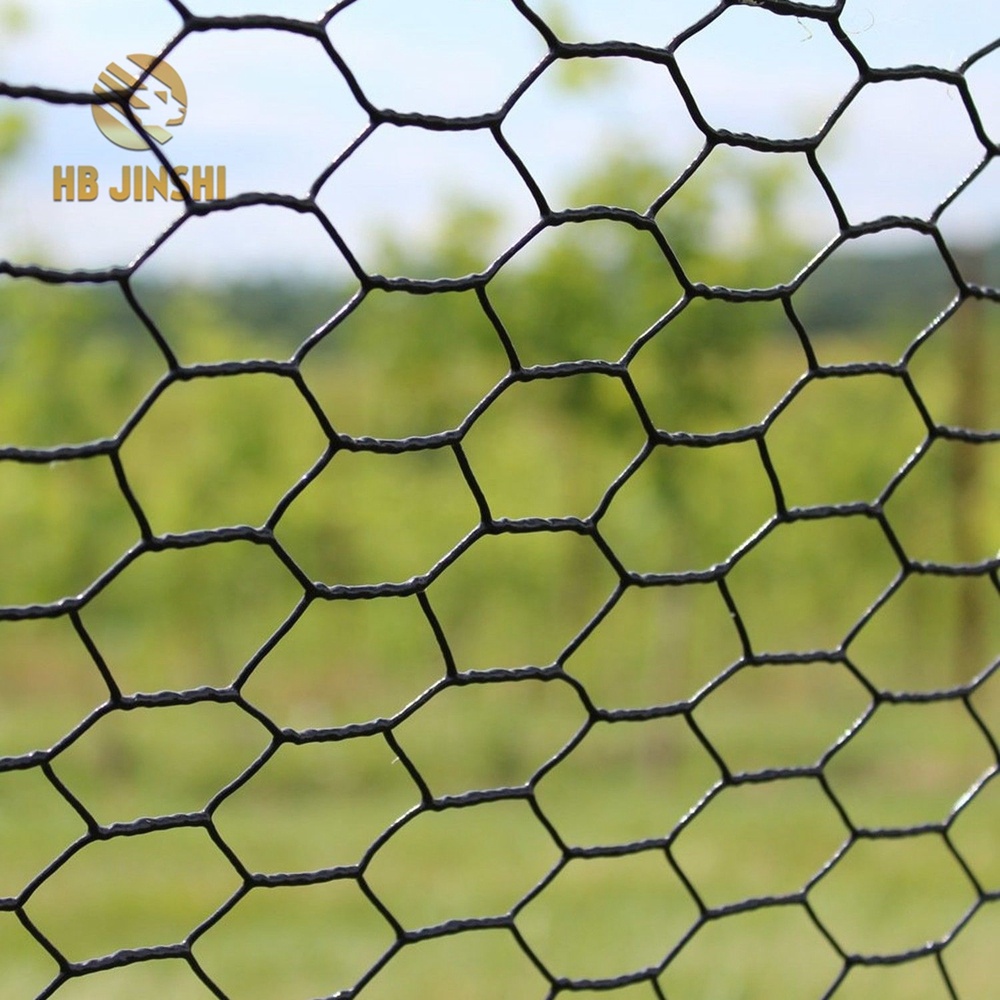 Factory wholesale Grid Wall - 48" x150'-1" 20GA Black PVC Hexagonal Poultry Netting, Chicken Wire – JINSHI