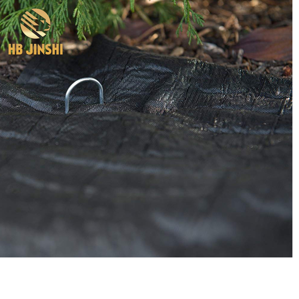 Newly Arrival Metal Garden Gate Doors - 100 PCS Weed Fabric Metal Staples Garden Turf Securing Pegs U Pins – JINSHI
