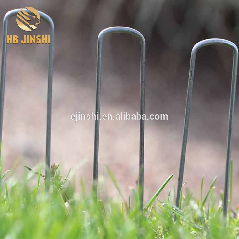 Galvanized Metal Wire U Nails/ Artificial Grass Staples