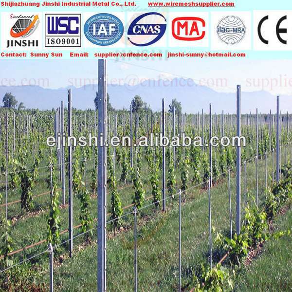 HDG150g 54x30mm 2.5mH grape vine pillar