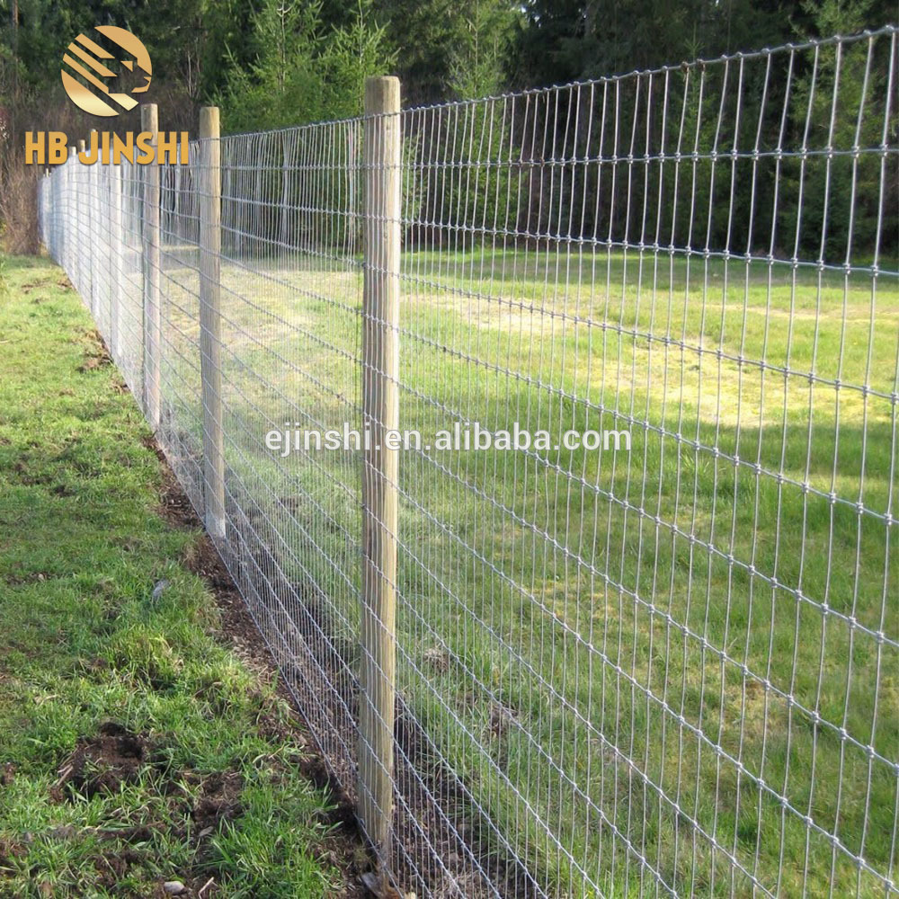 Leading Manufacturer for Silt Fence - Hot sales high strength galvanized wire Hinge Joint Fixed Knot Field Fence – JINSHI