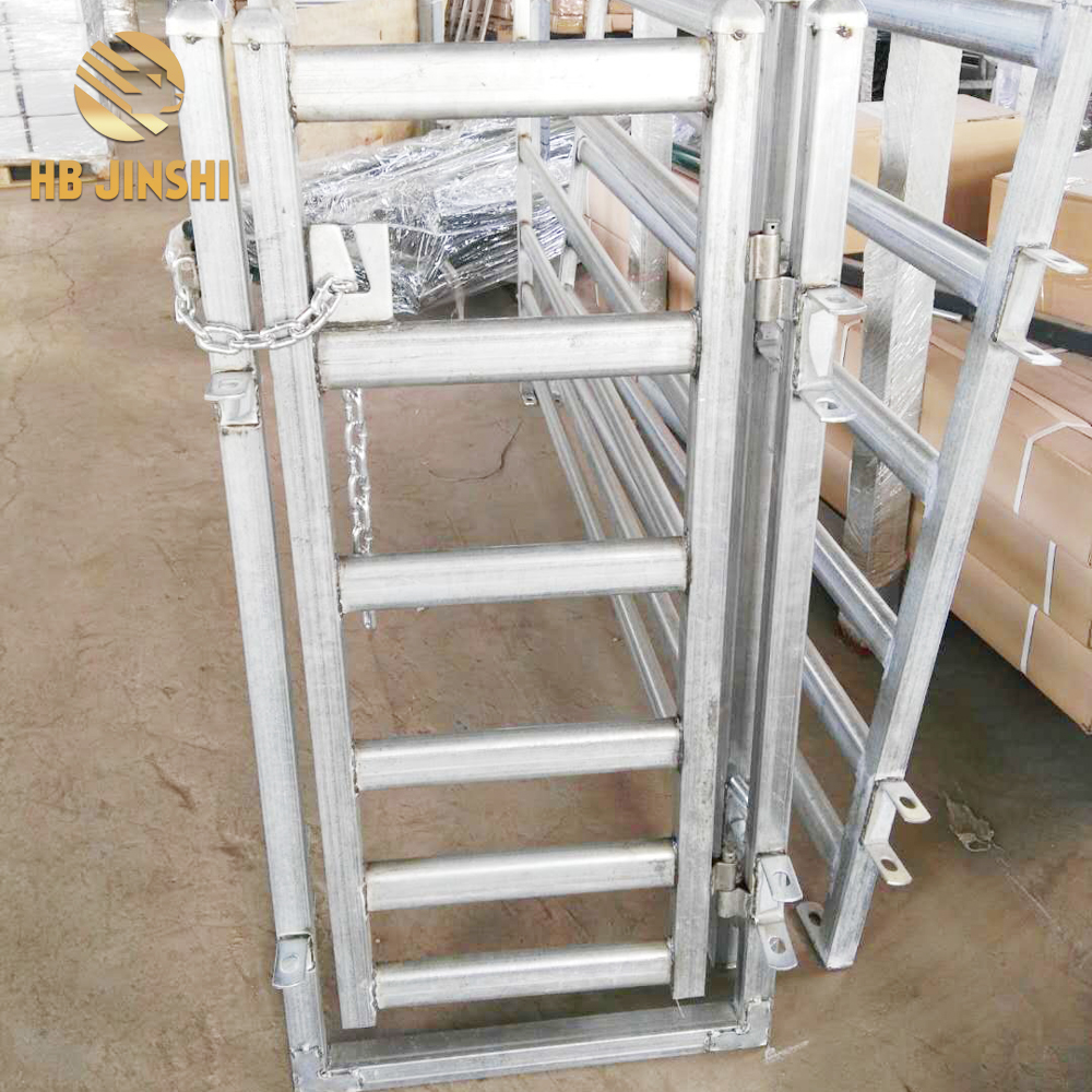 Australia type 0.6×1.2m Sheep race gate with chain and clip