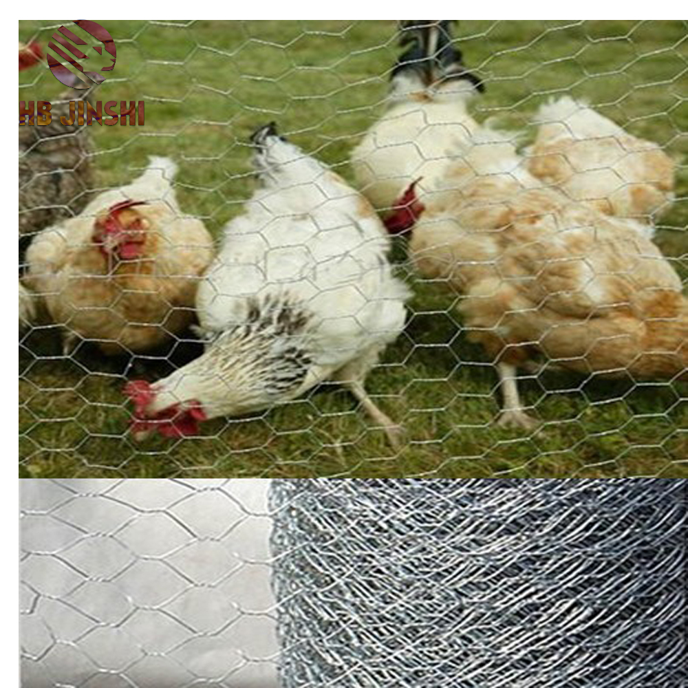 PVC Coated Chicken Wire Hexagonal Woven Mesh for Poultry