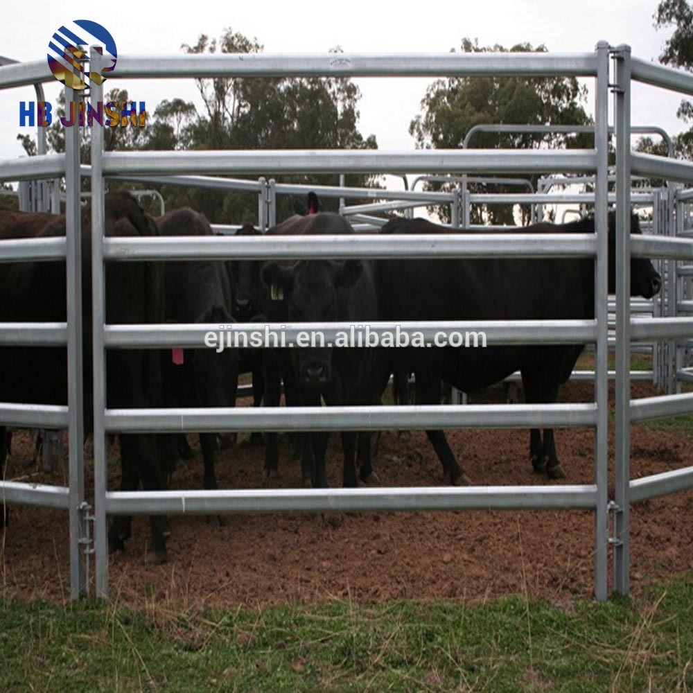Rapid Delivery for Animal Fence - Hot Sales galvanized Cattle panels yard live stock yard – JINSHI