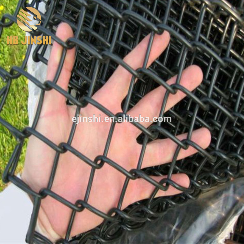 2.'' Electro Galvanized Diamond mesh Fencing for house fencing