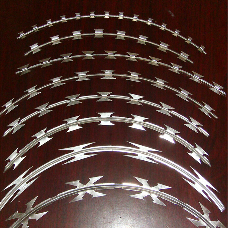 Hot sales  BTO-65 Canada market concertina razor wire