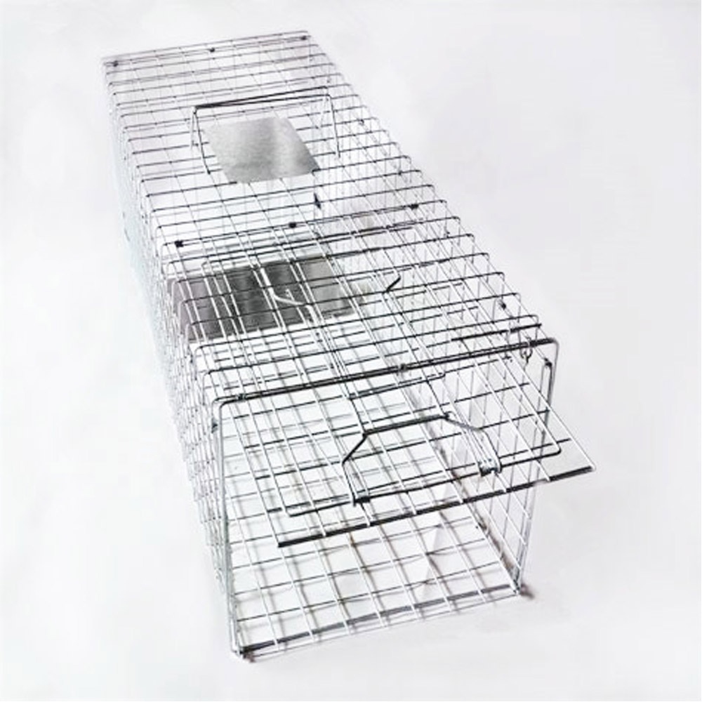 Heavy Duty Squirrel Trap Cage Large Single Door Rodent Drop Cages