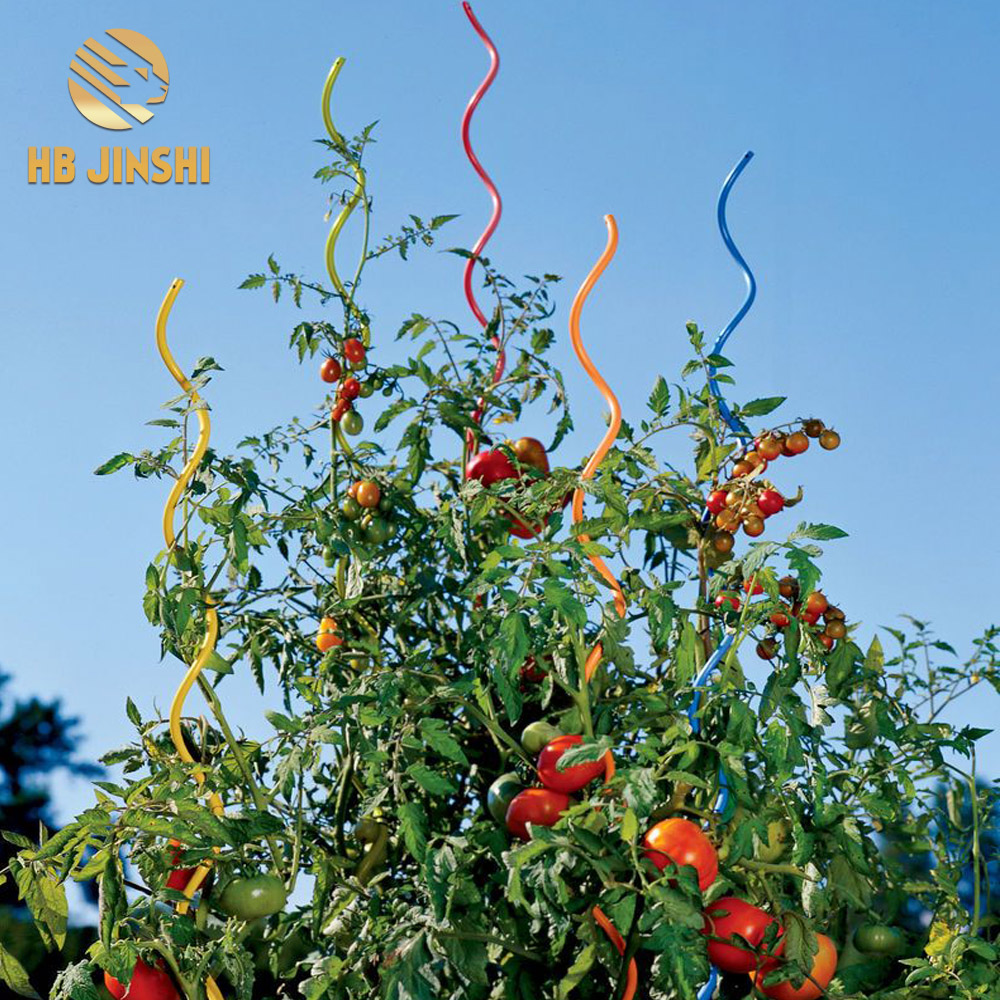 Galvanized wire 6.5mm- 10mm thick Spiral tomato support