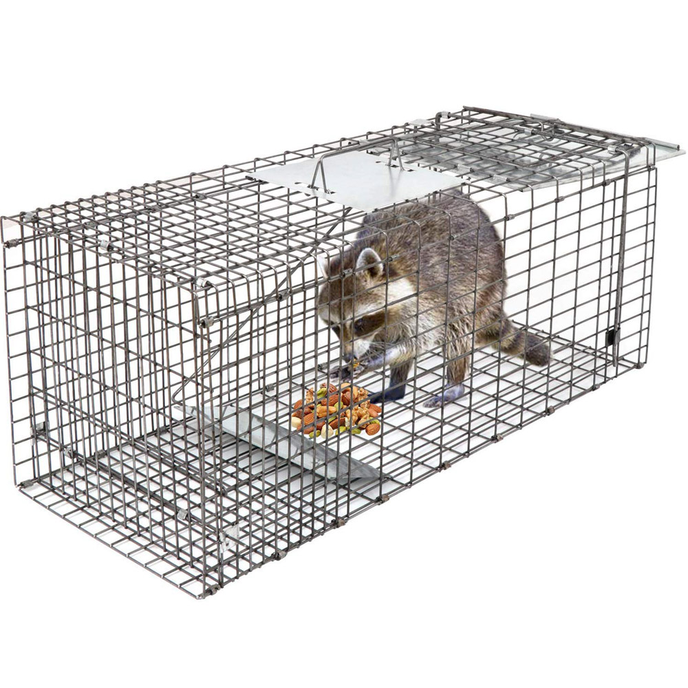 Collapsible Live Animal Trap Catch Humane Rodent Cage Wire Cage Trap