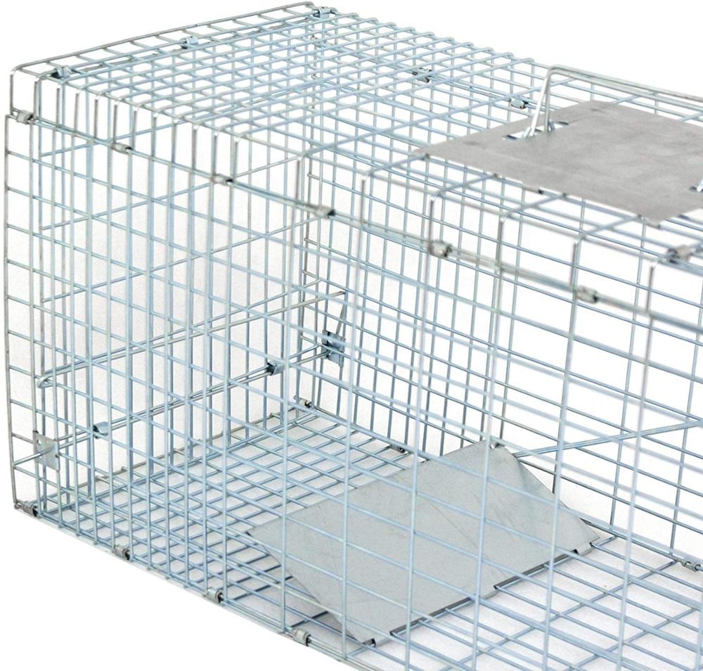 High Quality Dog Kennel - 80X28X33cm galvanized Collapsible Humane Animal Trap cage – JINSHI