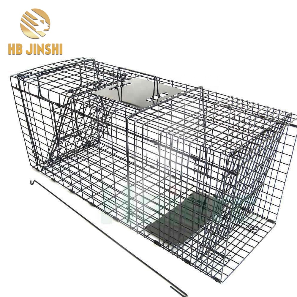 Cat Catch Metal Steel Cage with Handle Metal Trap Cage for Rodents