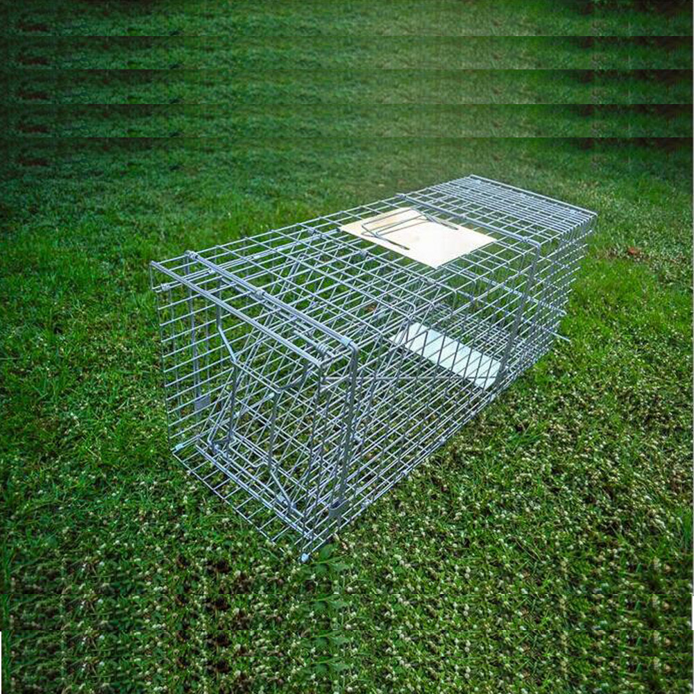 Collapsible Wild Cat Raccoon Animal Trap Cage  Wire Cage Trap