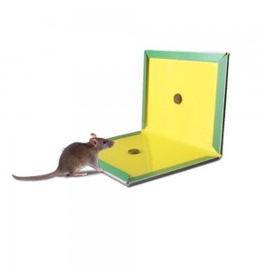 Rat glue traps, Mouse glue boards
