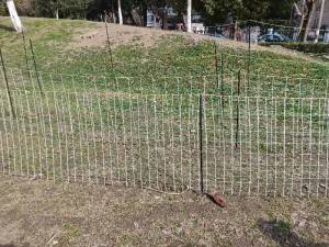 plastic poultry net electric fence net for chicken