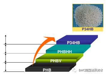 Basic knowledge of PHA