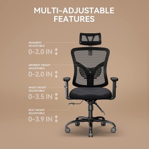 Ergonomic Office Chair Adjustable Headrest