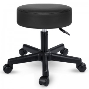 Adjustable Swivel Salon Stool Chair