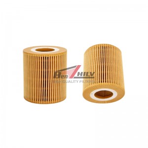 11427508969 LUBRICATE THE OIL FILTER ELEMENT