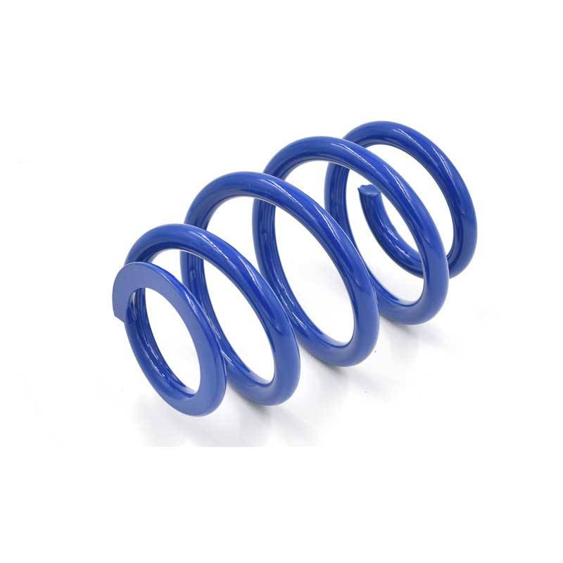 Factory Promotional Metal Battery Holder Spring - blue powder coated best lowering coil springs – Excellent