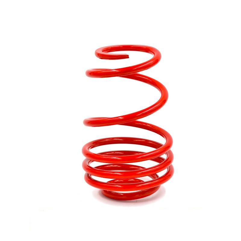 Hot Selling for Small Torsion Springs - red car suspension springs – Excellent