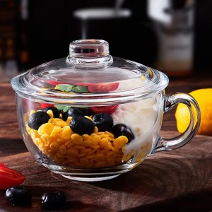 20 Oz Clear Small Bowls with Glass Lid for Oatmeal Breakfast Bowls