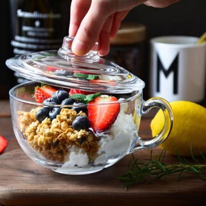 20 Oz Clear Small Bowls with Glass Lid for Oatmeal Breakfast Bowls