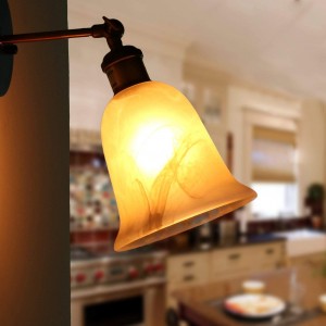 Glass lampshade can be filtered light bulb directly hair color