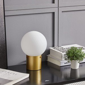 Custom Household Clear Lamp Skärmskydd kan bytas ut