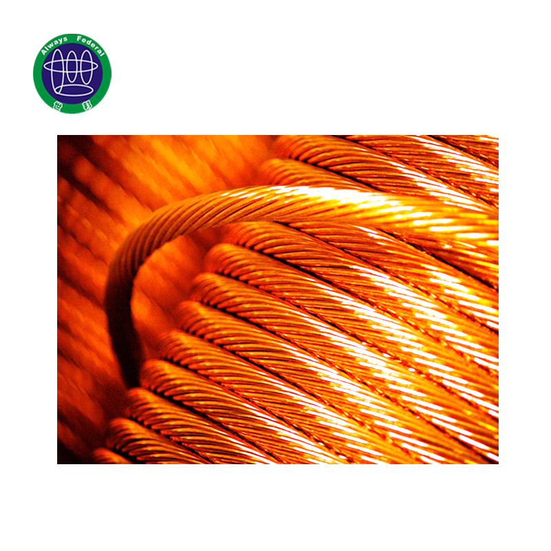 Factory Price Electrical Wire - Stainless Steel Electrodes Coated Ground Copper Clad Wire – ShiBang