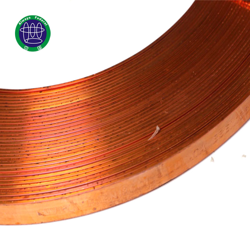 Factory directly supply Earthing System - 25*3MM Bare Copper Tinned Flat Conductor – ShiBang