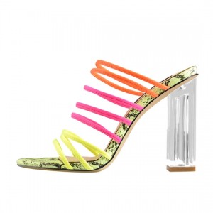 Top Suppliers Womens Gold Flat Shoes -
 Fluorescent Snake skin Elastic Multicolor Slip On Clear Square Heel Sandals – Xinzi Rain