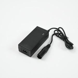 12 Volte Bike Battery Charger
