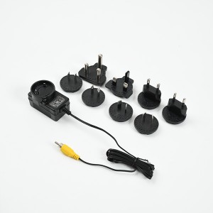 Interchangeable plug AC DC 12V 2A smps power supply adapter
