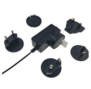 Universal plug adapter 5V 1A interchangeable plug charger
