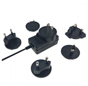 Interchangeable wall plug AC DC 5V switching power supply adapter