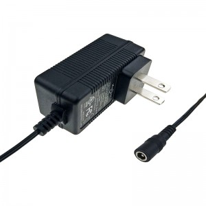 North America wall plug 18W AC DC switching power supply adapter