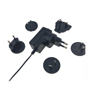 Interchangeable AC plug 12V 1A power supply adapter