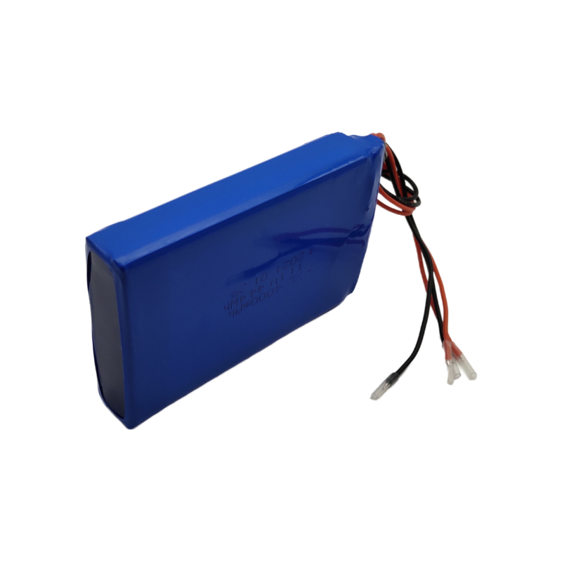 Discountable price Lithium Ion Polymer - 11.1V lithium polymer battery packs – Xuanli