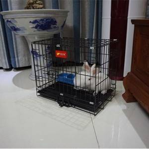 Folding Dog Cage Cat Cage အပြာရောင် ပန်းရောင် ယုန်လှောင်အိမ် Bold Wire Foldable Pet Cage