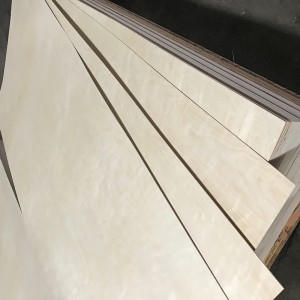 Phenolic Glue All Birch Plywood 0535