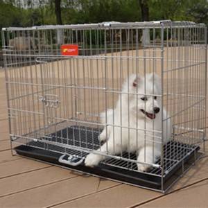 Cage pour chien pliante Cage pour chat Cage pour lapin bleu rose Cage pour animaux de compagnie pliable en fil gras