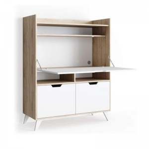Mazuva ano Minimalist Cabinet Style Desk 0664